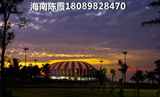 groupie有吉他手的意思吗