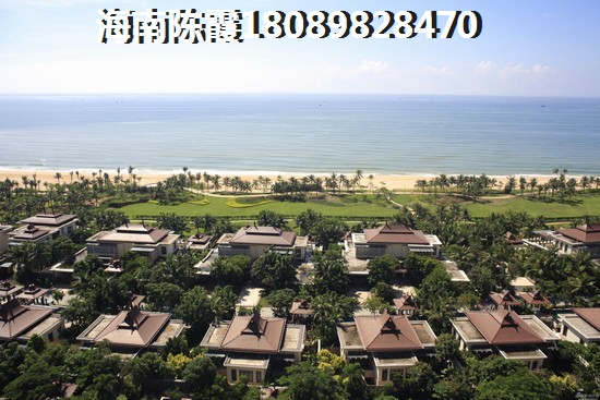 rogue是什么吉他