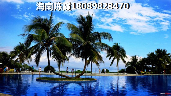 云南春天有什么景点