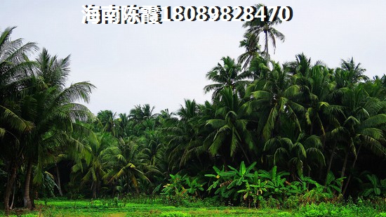 肃宁县暑期适合学生去的地方