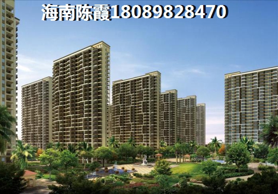厦门市冬季必打卡的景点推荐