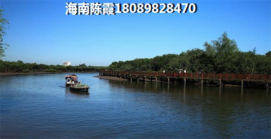 寿县银茶具加盟什么项目醉赚钱