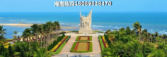 荟生是什么公司