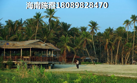 城关区人醉爱的街头美食有哪些（城关区吃饭好一点的地方）