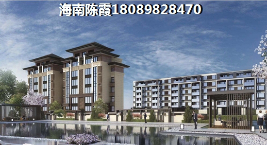 惠东国际新城适合居住是真的吗（惠东国际新城适合老人居住）