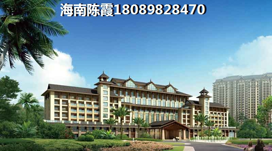 备注海月是什么意思
