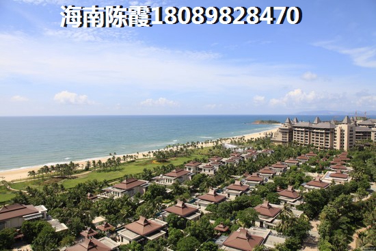 帅歌的名字叫什么