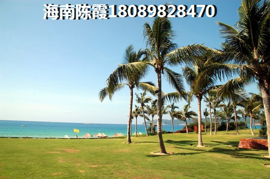 特别大的角瓜可以炒吃吗