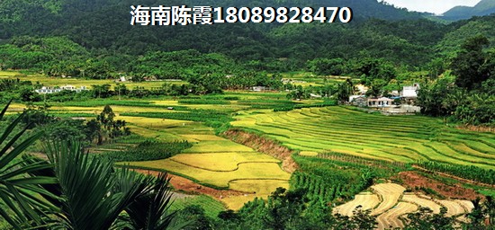 教师物业补贴郑州发放吗多少钱 教师物业补贴郑州发放吗多少钱